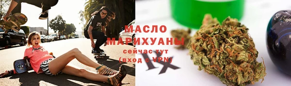 индика Аркадак