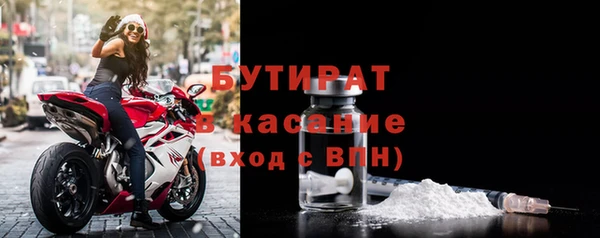 индика Аркадак