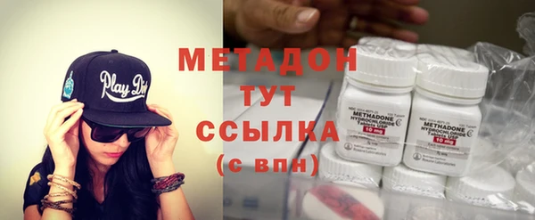 индика Аркадак