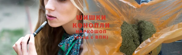 гидра Осинники