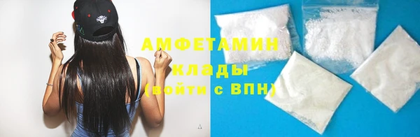 индика Аркадак