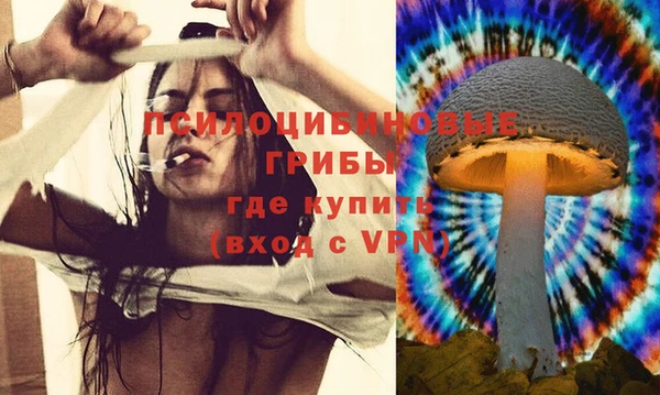 индика Аркадак