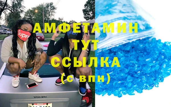 индика Аркадак