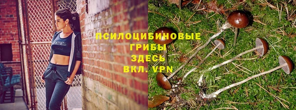 индика Аркадак