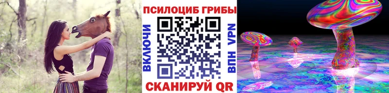 Галлюциногенные грибы мицелий  дарк нет официальный сайт  Ряжск  купить  сайты 